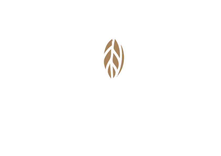 Nur Çikolata